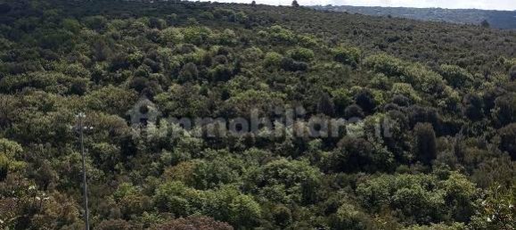  قطعة أرض في Sassari, Italy 47079متر مربع رقم 353711 19