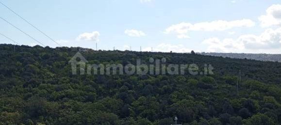  قطعة أرض في Sassari, Italy 47079متر مربع رقم 353711 11