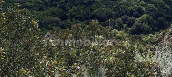  قطعة أرض في Sassari, Italy 47079متر مربع رقم 353711 7