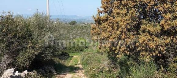  قطعة أرض في Sassari, Italy 47079متر مربع رقم 353711 14