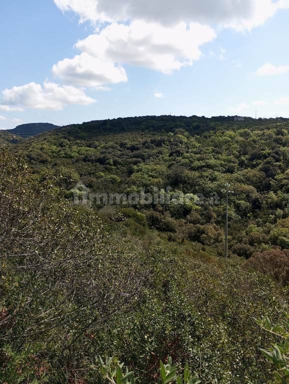  قطعة أرض في Sassari, Italy 47079متر مربع رقم 353711