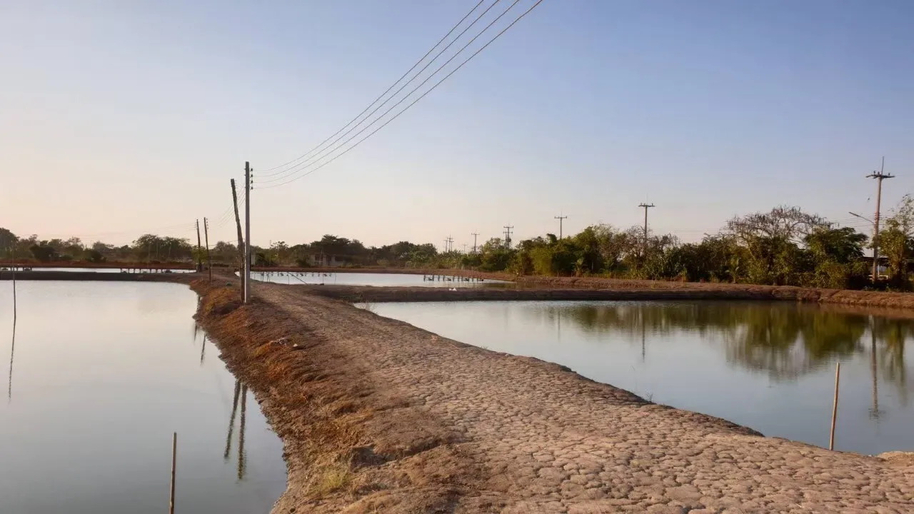 22400m² Land in Chachoengsao, Thailand No. 74667