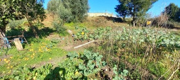 Casa de 1 dormitorio en Arcos de Valdevez, Portugal No. 28920 13