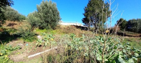 Casa de 1 dormitorio en Arcos de Valdevez, Portugal No. 28920 16