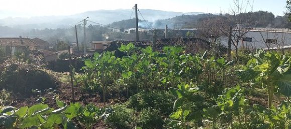 Casa de 1 dormitorio en Arcos de Valdevez, Portugal No. 28920 12