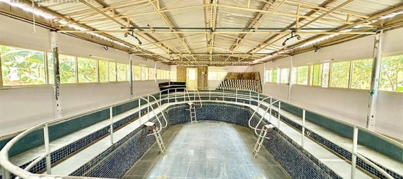 10 bedrooms Villa in Seih Al Uraibi, UAE No. 25044 22