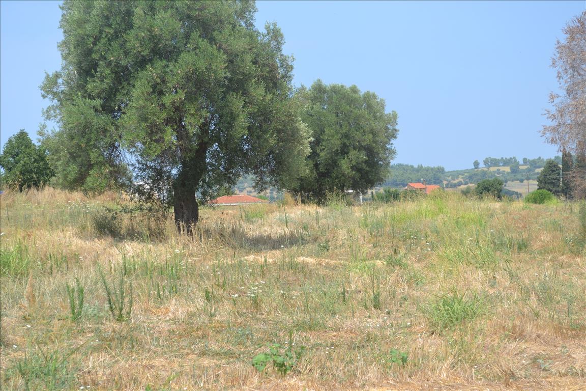 15500 m² hotel en venta en Chalkidiki, Central Macedonia, Macedonia and Thrace, Greece № 6642