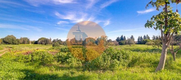 4 bedrooms Land in Vila Nova de Cacela, Portugal No. 74535 3