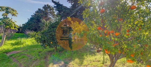 4 bedrooms Land in Vila Nova de Cacela, Portugal No. 74535 2