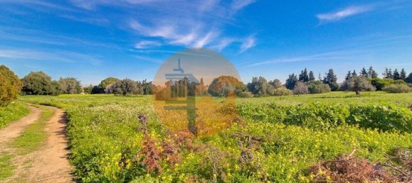 4 bedrooms Land in Vila Nova de Cacela, Portugal No. 74535 4