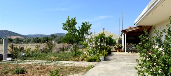 3 bedrooms Commercial property in Kalyvia Thorikou, Greece No. 6214 13