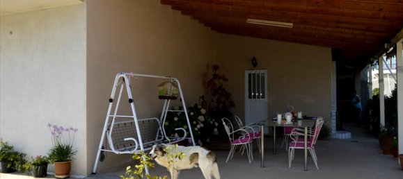 3 bedrooms Commercial property in Kalyvia Thorikou, Greece No. 6214 10