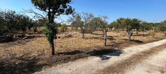 3529m² Land in Palmela, Portugal No. 67919 9