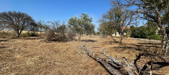 3529m² Land in Palmela, Portugal No. 67919 6