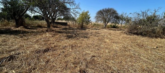 3529m² Land in Palmela, Portugal No. 67919 7