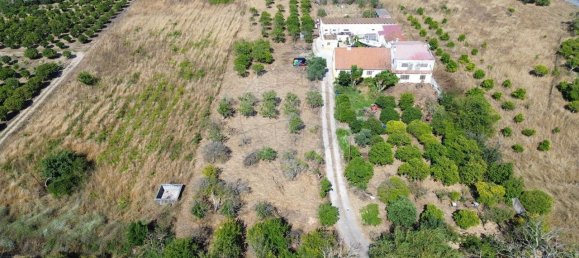 3529m² Land in Palmela, Portugal No. 67919 2