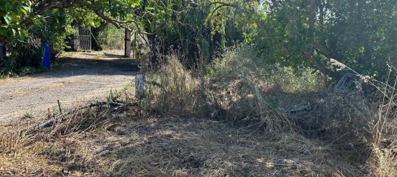 3529m² Land in Palmela, Portugal No. 67919 5