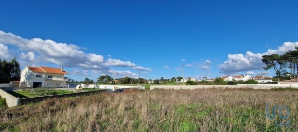 Земельный участок 10000м² в Мафра, Португалия № 126785 22