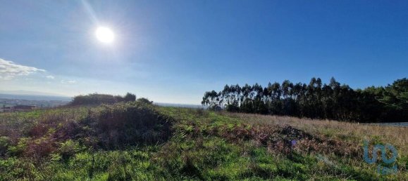 Земельный участок 10000м² в Мафра, Португалия № 126785 11