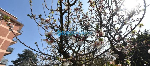 4 bedrooms House in Carpi, Italy No. 61129 11