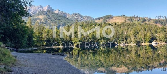 Terrain à Scharnstein, Austria No. 212500 3