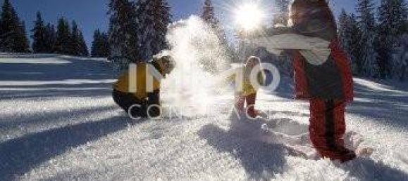 Terrain à Scharnstein, Austria No. 212500 5