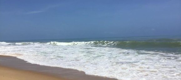 52800m² Commercial property in Khok Kloi, Thailand No. 8034 3