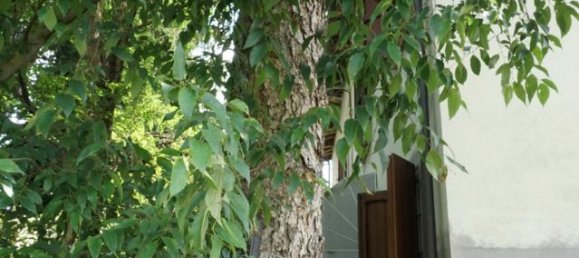 Дом с 4 комнатами в Колорно, Италия № 235574 31