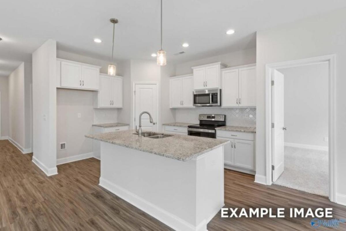 3 bedrooms House in Harvest, USA No. 373980