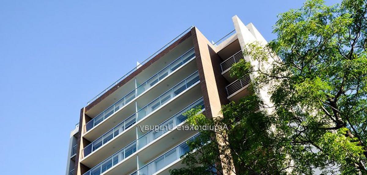 2 bedrooms Apartment in Montevideo, Uruguay No. 4514