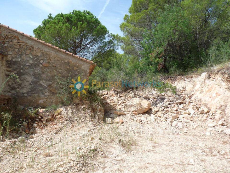  Land in Valencia, Spain No. 228523