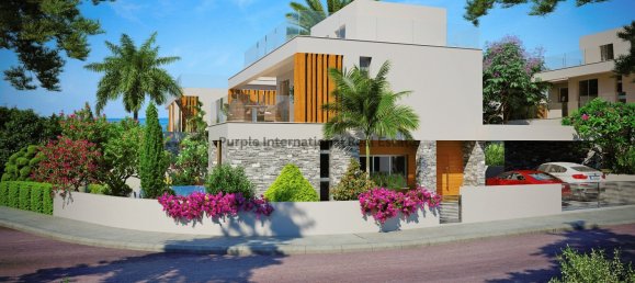 5 غرف نوم فيلا في Paphos, Cyprus رقم 997 6