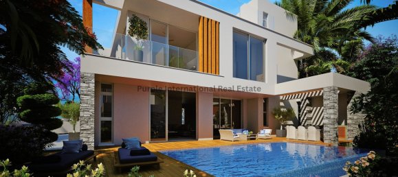 5 غرف نوم فيلا في Paphos, Cyprus رقم 997 7