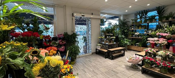 3 Schlafzimmer Haus in Strasbourg, France, Nr. 229018 2