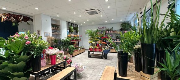 3 Schlafzimmer Haus in Strasbourg, France, Nr. 229018 13