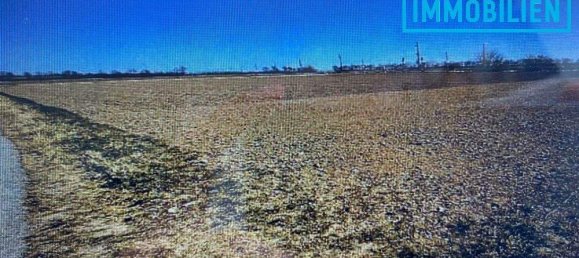  Land in Fels am Wagram, Austria No. 91089 2