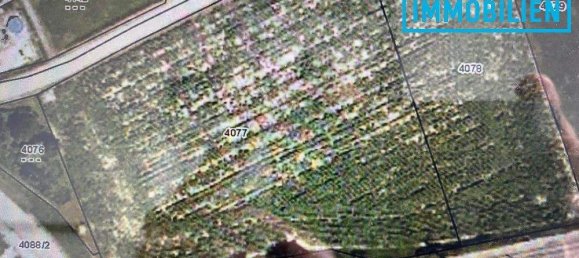  Land in Fels am Wagram, Austria No. 91089 3