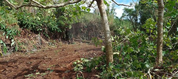 3 bedrooms House in Velas, Portugal No. 48238 15