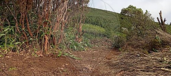 3 bedrooms House in Velas, Portugal No. 48238 16