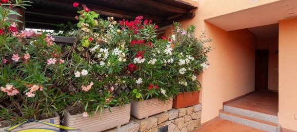 2-salle Appartement à San Teodoro, Italy No. 142933 6