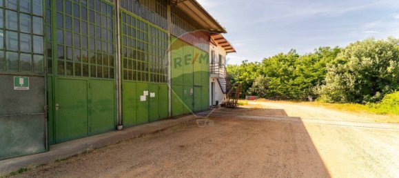 Almacén en Baldichieri d'Asti, Italy 2500 m² No. 346343 49