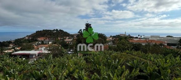 3 Schlafzimmer Villa in Funchal, Portugal, Nr. 129492 5