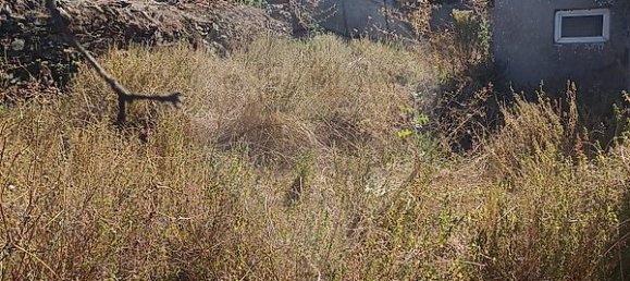 Casa de 2 dormitorios en Vila Real, Portugal No. 22015 8