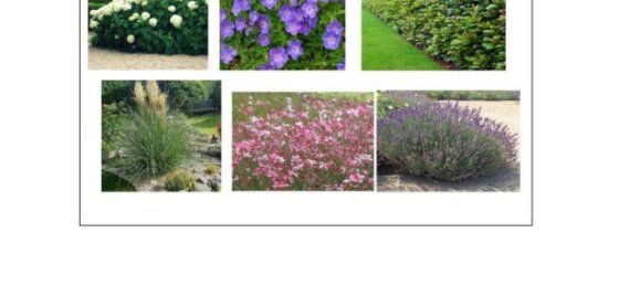 3غرفة شقة في Wahring, Austria رقم 159163 22