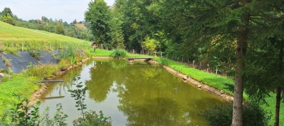 8-Zimmer Haus in Oberhaag, Austria, Nr. 48559 27