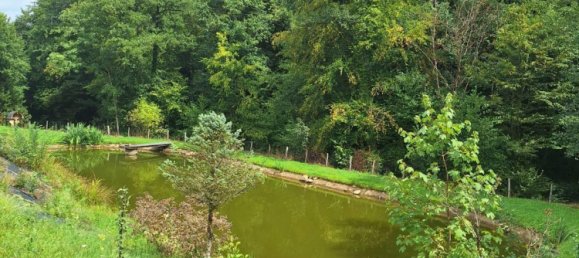 8-Zimmer Haus in Oberhaag, Austria, Nr. 48559 28