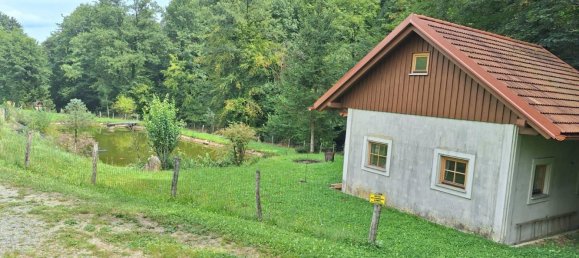 8-Zimmer Haus in Oberhaag, Austria, Nr. 48559 29