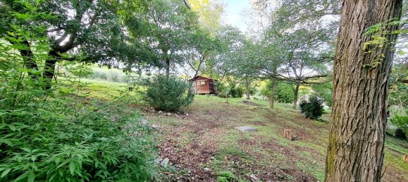 7 rooms House in Baone, Italy No. 35400 17