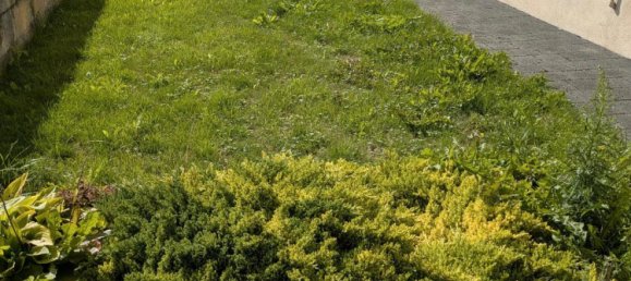 Moradia em banda T2 em Neu-Ulm, Germany N.º 290961 18