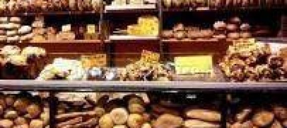 4 rooms Commercial property in Florence, Italy No. 48763 2